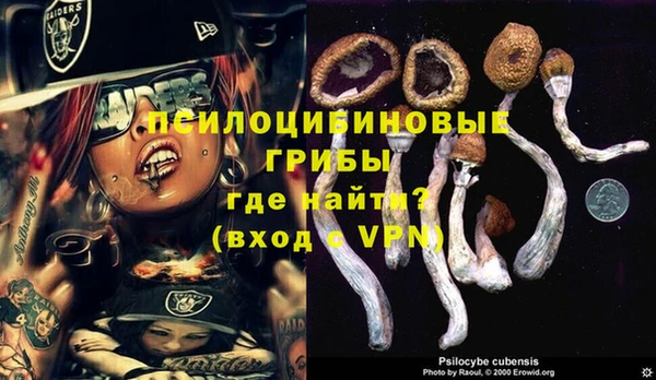 молекула духа Абдулино